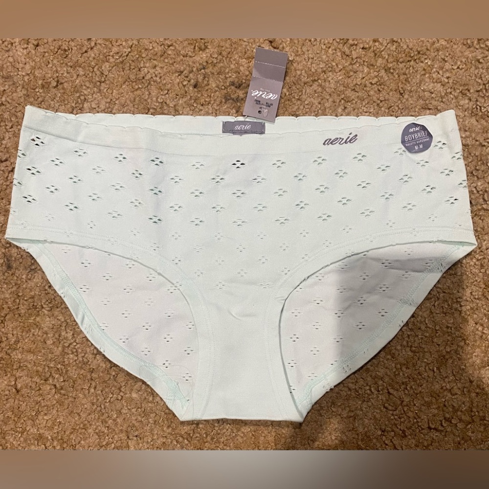 Aerie Mint Green Boybrief Panties